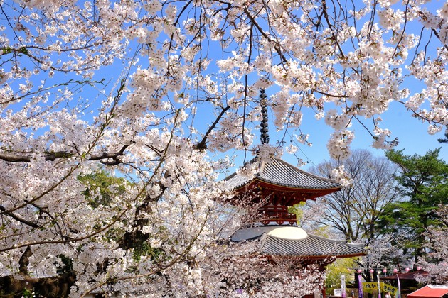 喜多院