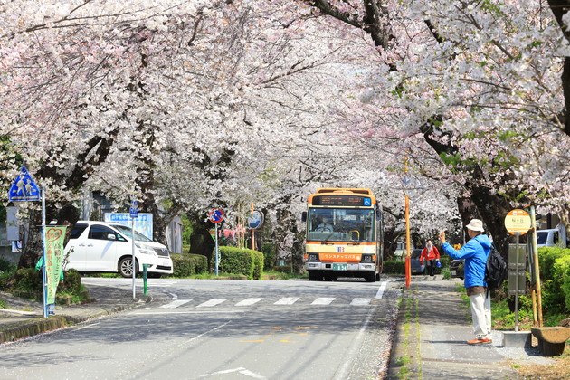 静岡県三島市