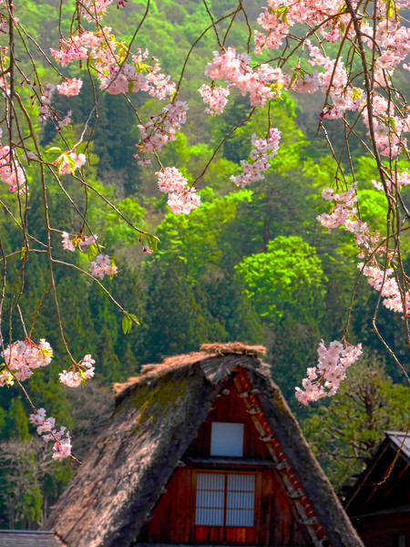 白川郷　岐阜県白川村