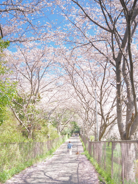 文教大学湘南キャンパス