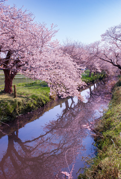 千葉県白井市今井