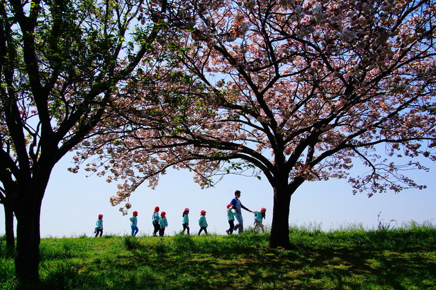 埼玉県川口市　荒川土手