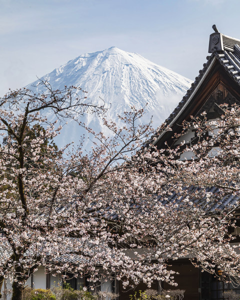 静岡県富士宮市・大石寺