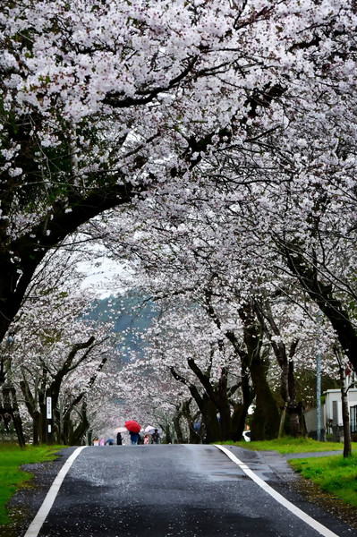 宮崎県都城市母智丘公園