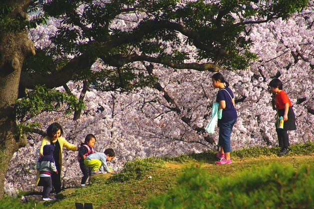 東京都港区　旧芝離宮恩賜庭園