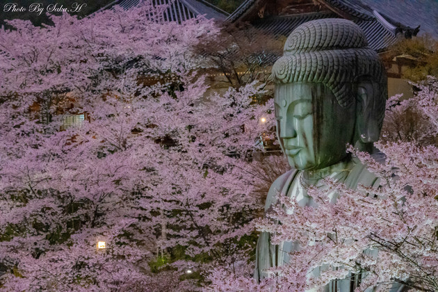 壺阪寺
