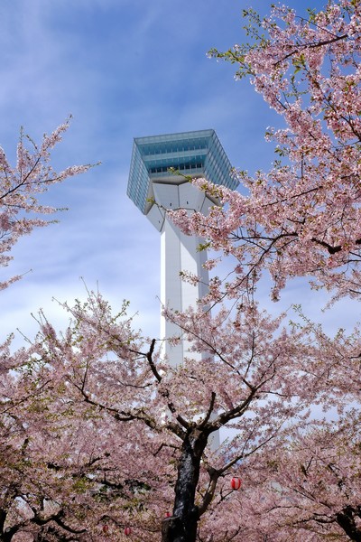 五稜郭公園