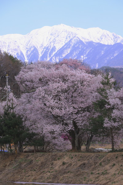 六道の堤