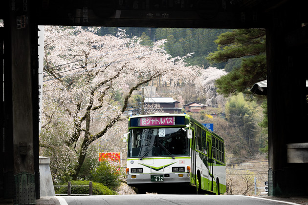 山梨県身延山