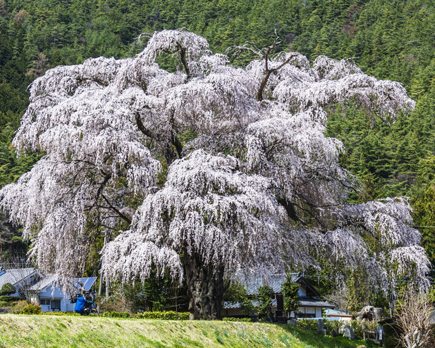 長野県安曇野市三郷小倉