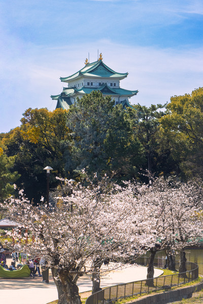 名古屋市名城公園