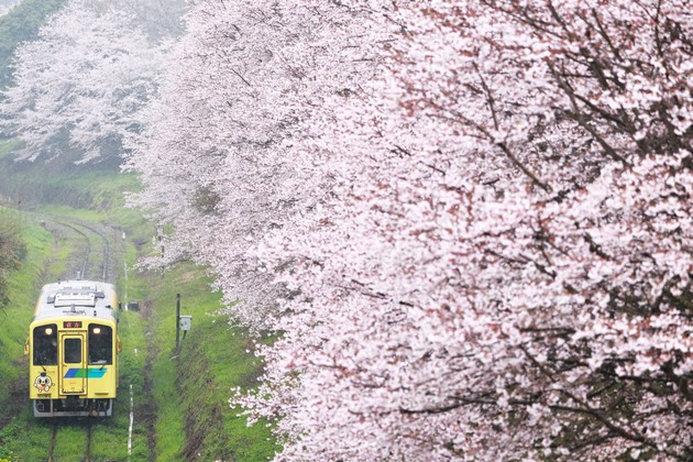 福岡県田川郡赤村