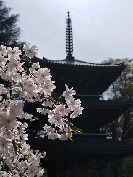 東京都港区 東禅寺