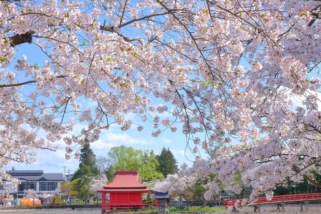 猿賀公園