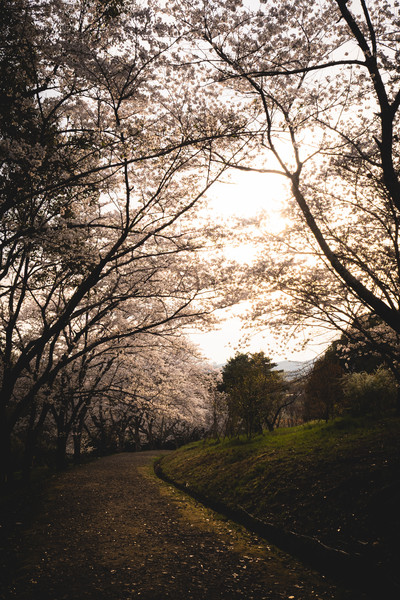 公渕森林公園