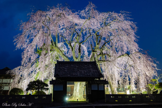 増泉寺