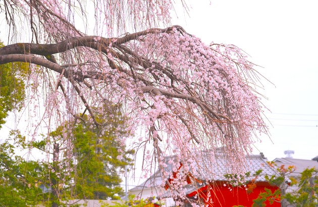 御陣屋稲荷神社