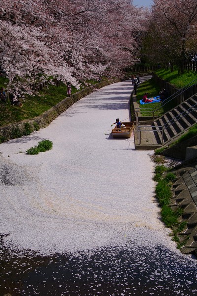 川越市　新河岸川