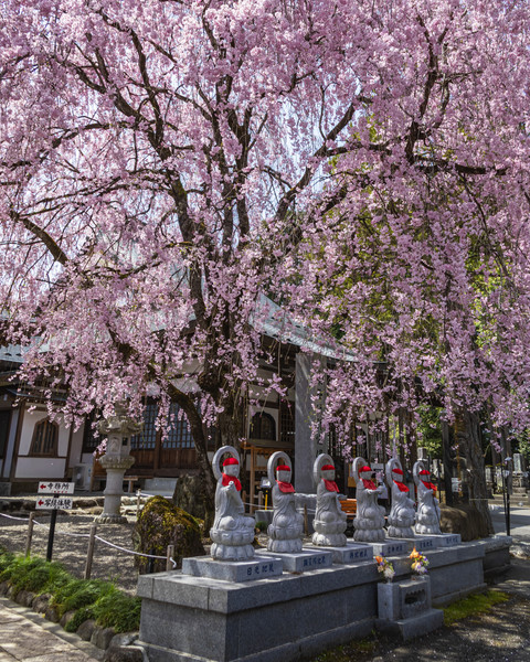 栃木県日光市・法蔵寺