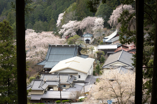山梨県身延山