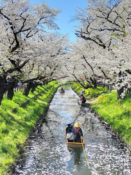 埼玉県川越市 新河岸川