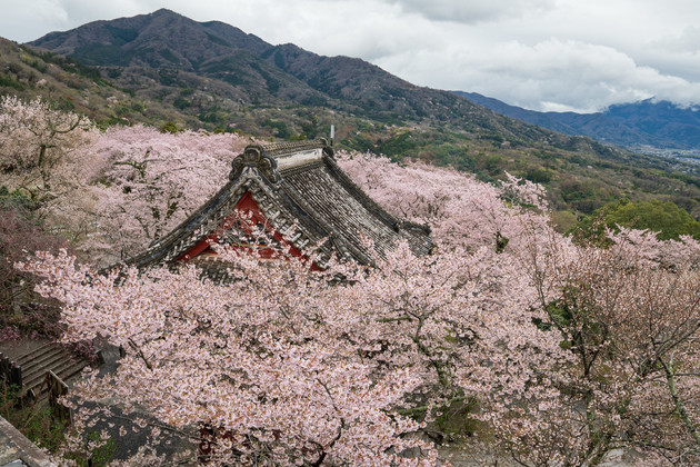 茨城県桜川市