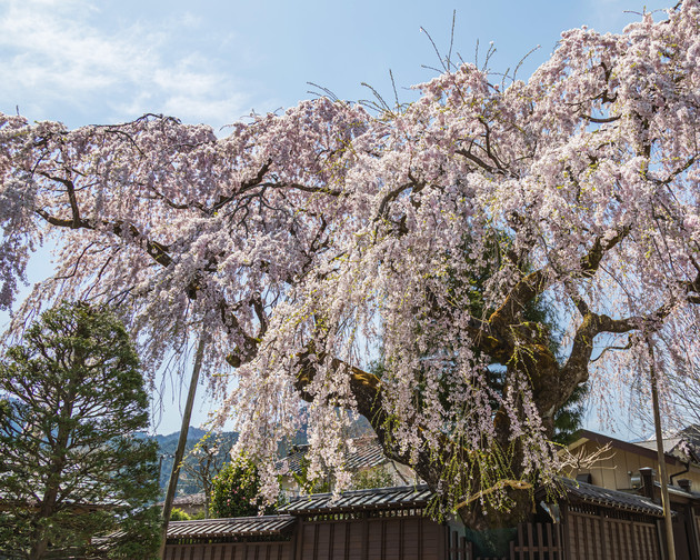 栃木県日光市