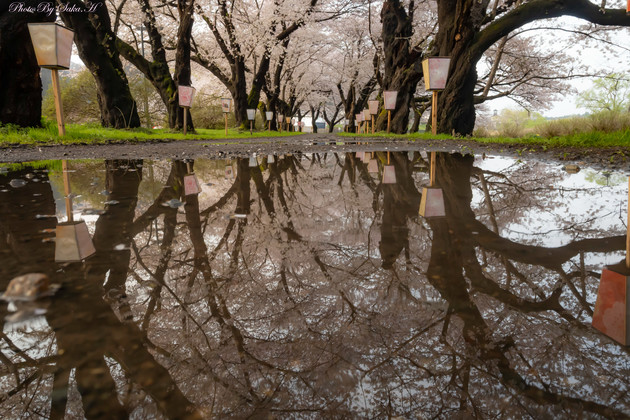北上展勝地