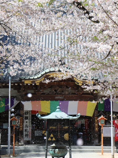 埼玉県川越市 蓮馨寺