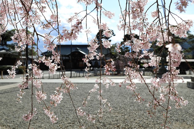 東京都文京区 護国寺