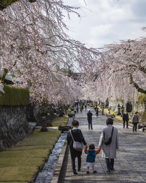 静岡県富士宮市　大石寺