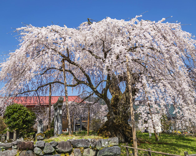 栃木県日光市