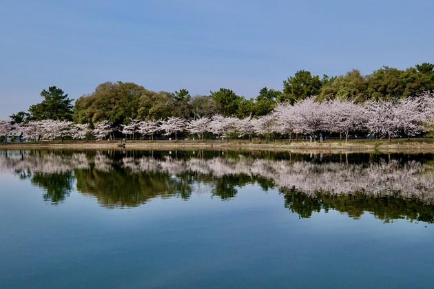 服部緑地公園　大阪府豊中市服部緑地1-1