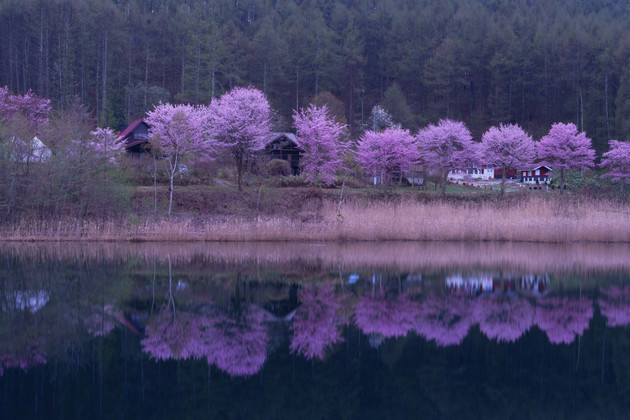 中牧湖