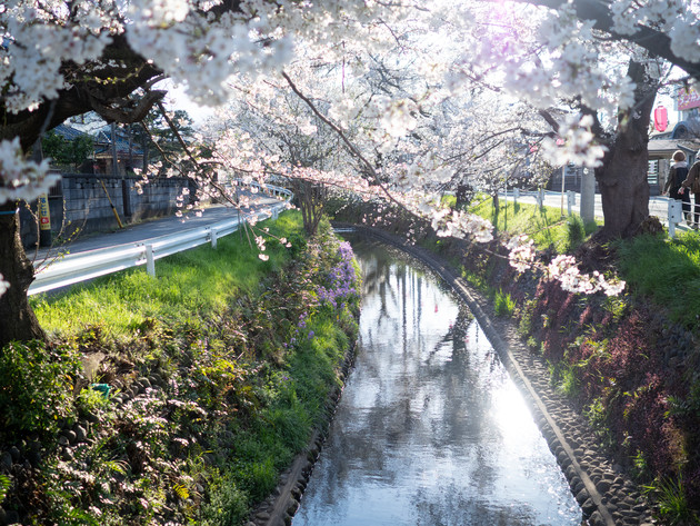東川（埼玉県所沢市）