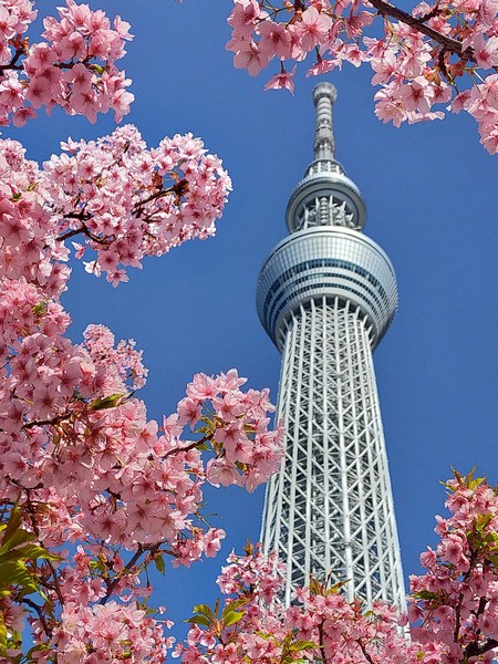東京都墨田区 東京スカイツリー