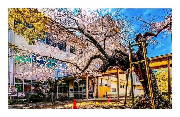 神東小学校