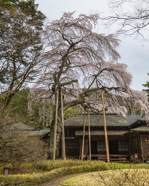 栃木県日光市田母沢御用邸