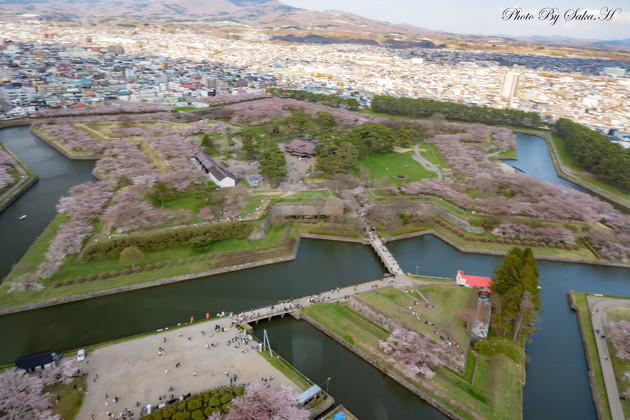五稜郭タワー