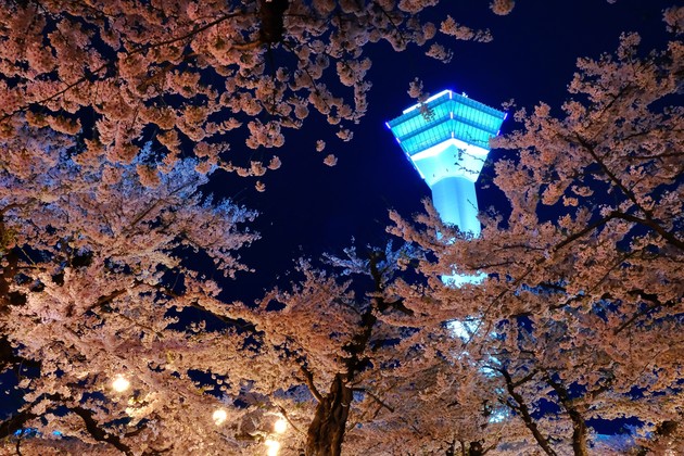 五稜郭公園