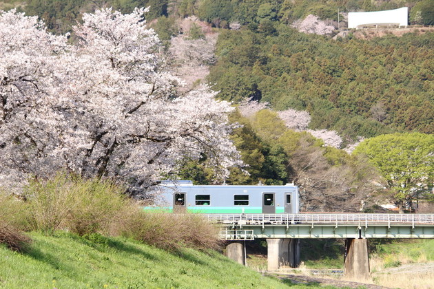 いこいの広場