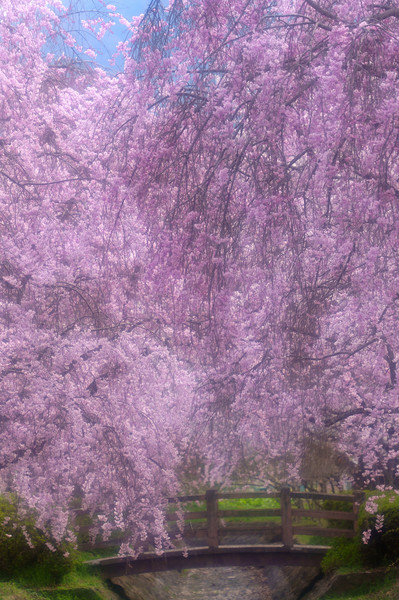 千曲市中央公園