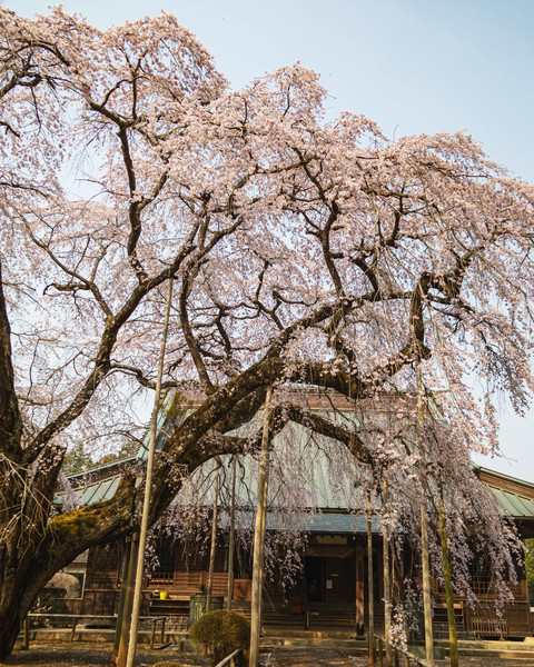 千葉県山武市・長光寺