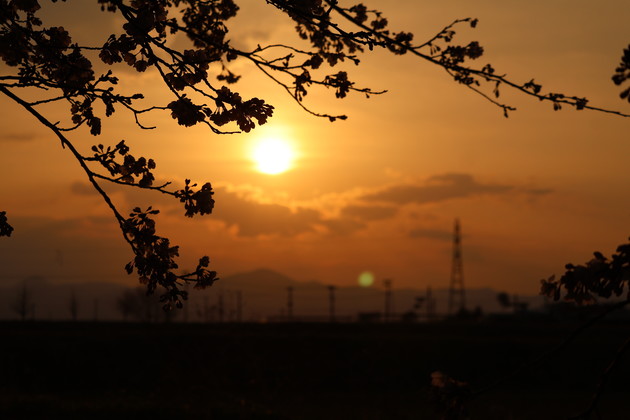 笹原川