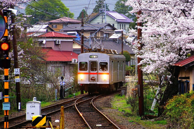 静岡県　大井川鉄道沿線