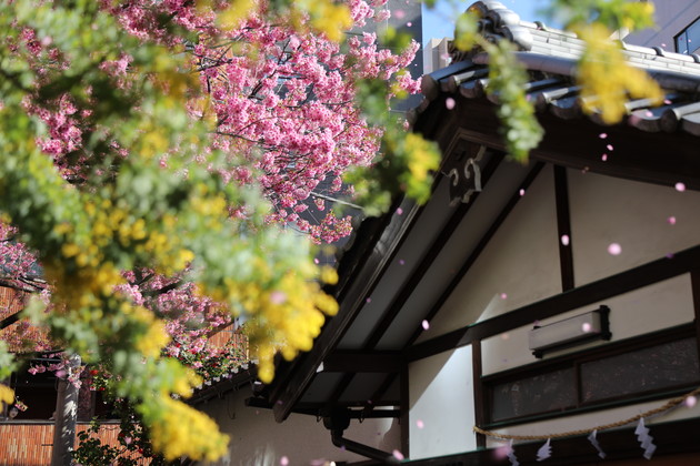 東京都台東区 蔵前神社