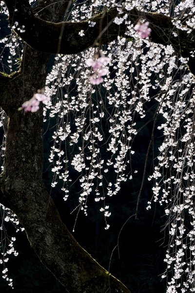 岩松山清雲寺