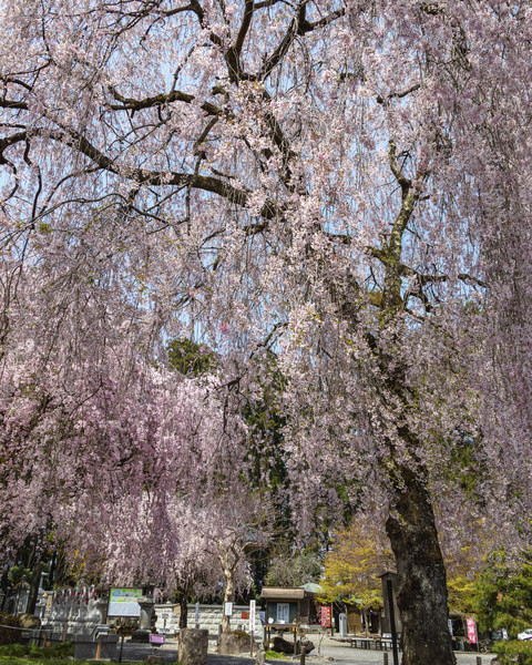 栃木県日光市・法蔵寺