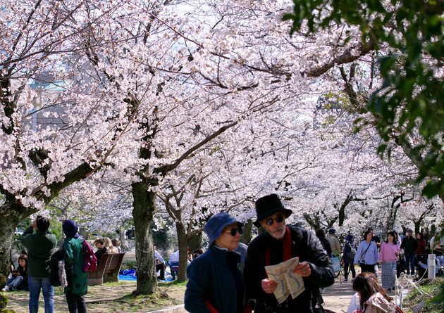 広島市平和公園内