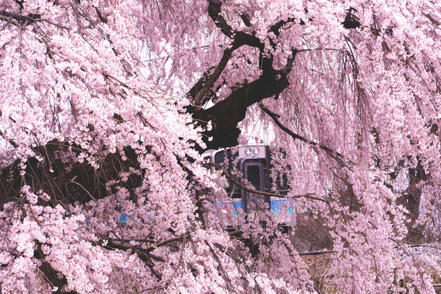 千曲市龍洞院